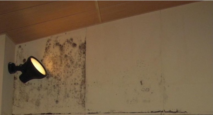 Before image