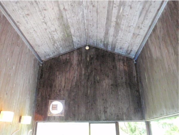 Before image