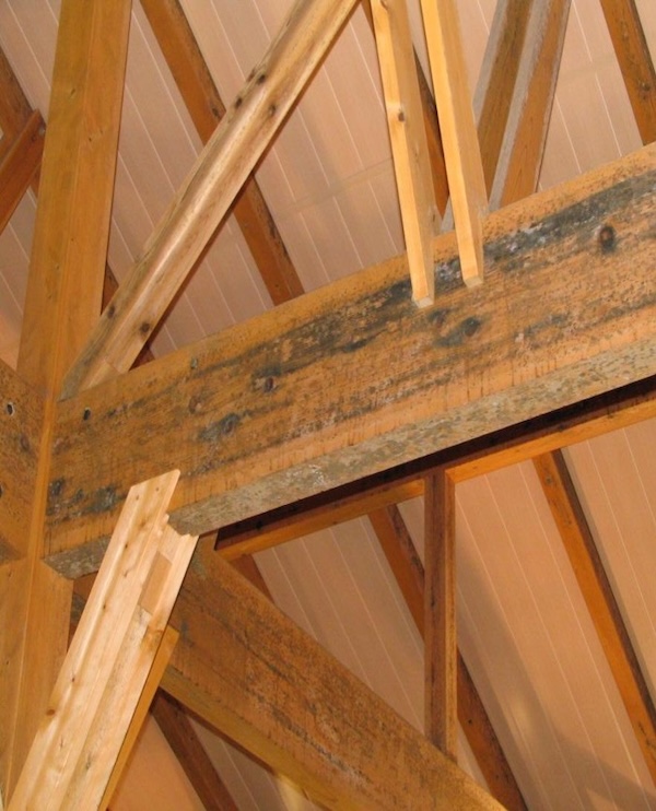 Before image